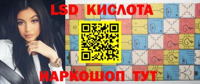шишки Ставрополь