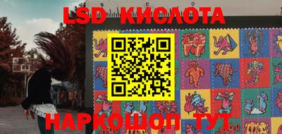 шишки Ставрополь