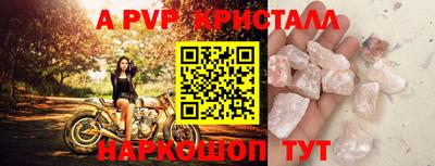 СК Тара