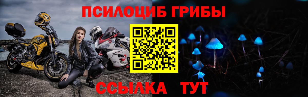 Галлюциногенные грибы прущие грибы  Вход с VPN  Галлюциногенные грибы мухоморы  Мурино 